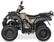 Квадроцикл Shineray ROVER 250 Пустельний камуфляж