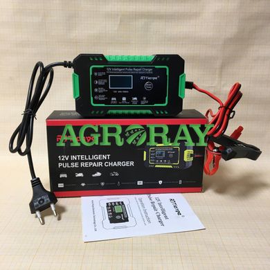 Зарядний пристрій RJ Tianye Імпульсний інтелектуальний 6А 4-100Ач для акумуляторів усіх видів.green