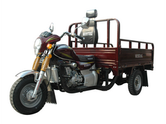 Трицикл (грузовой мотоцикл,муравей) musstang mt250zh-4v